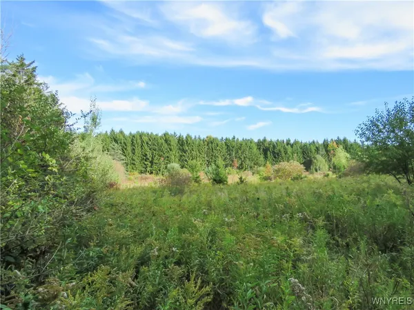 $124,900 | 11303 Holland Glenwood Road, Holland, NY 14080