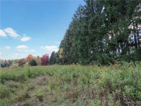 $124,900 | 11303 Holland Glenwood Road, Holland, NY 14080