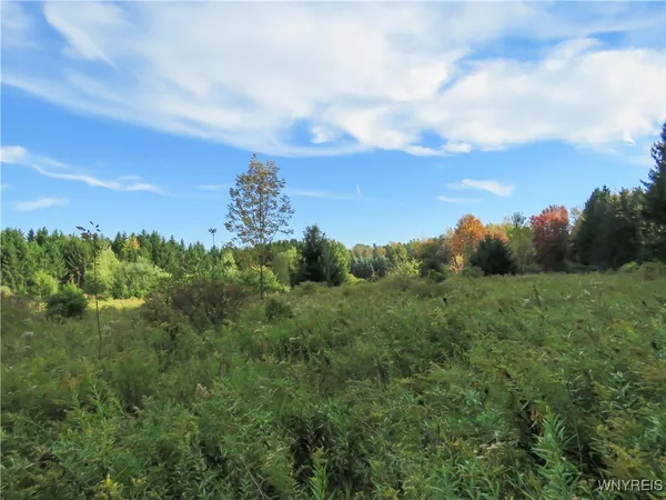 $124,900 | 11303 Holland Glenwood Road, Holland, NY 14080