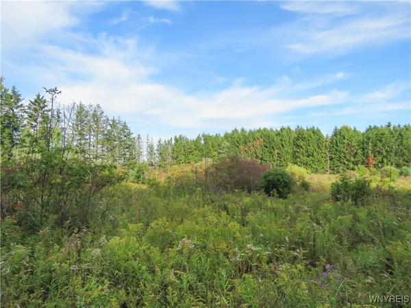 $124,900 | 11303 Holland Glenwood Road, Holland, NY 14080