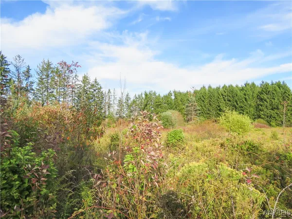 $124,900 | 11303 Holland Glenwood Road, Holland, NY 14080