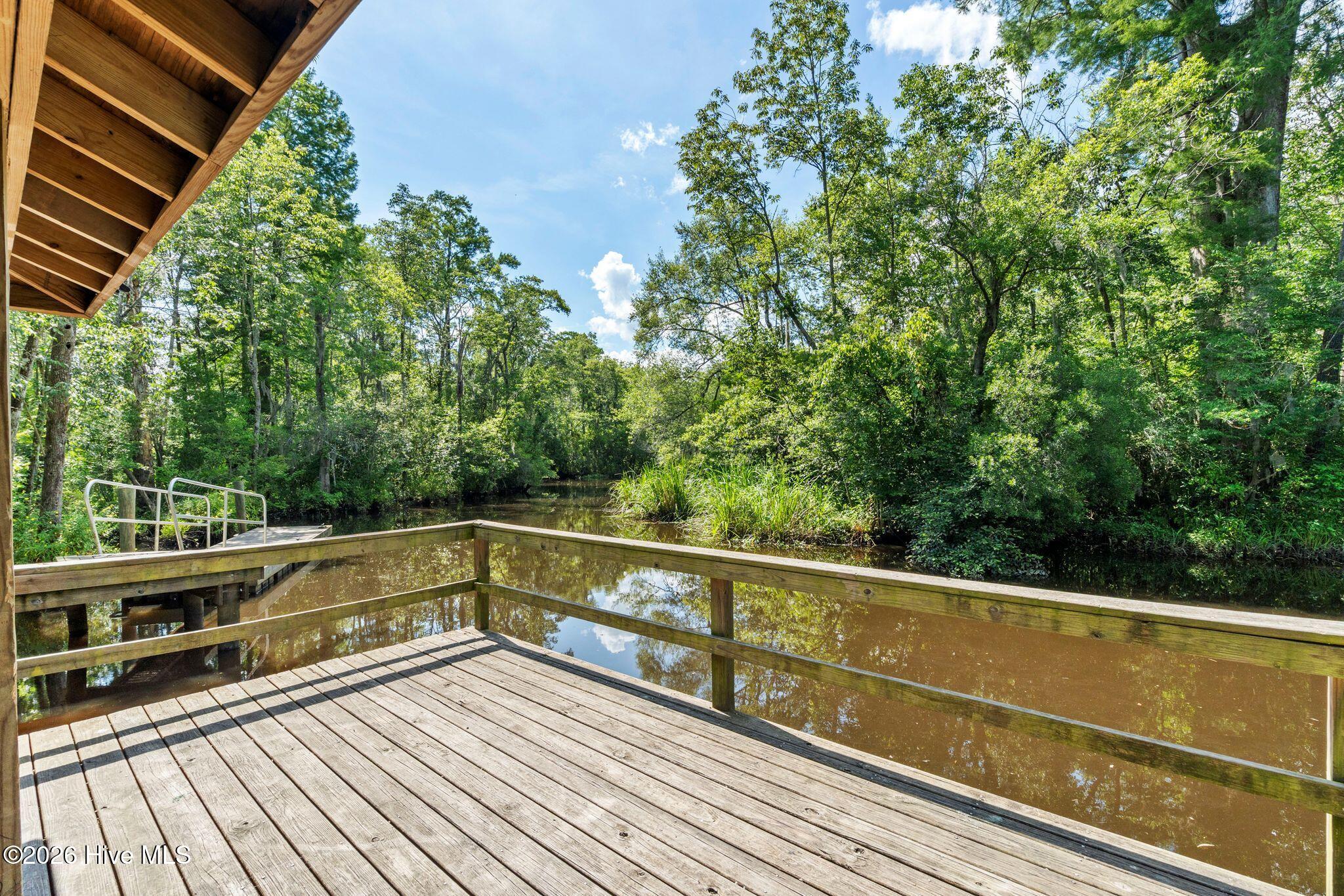 116 Sadie Way Rocky Point, NC 28457 - Photo 48 of 52