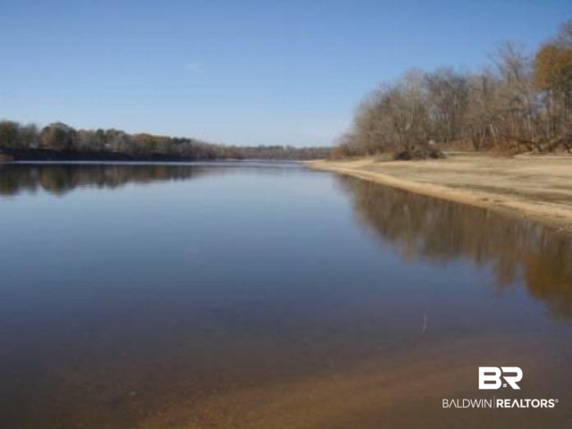 26 Sandy Bottoms Road Gainestown, AL 36540 - Photo 2 of 3