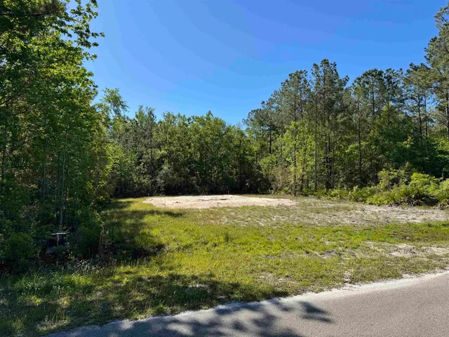 $25,000 | Xx Old Palmetto Path, Crawfordville, FL 32327