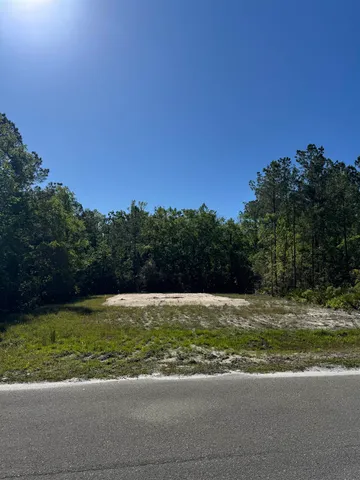 $25,000 | Xx Old Palmetto Path, Crawfordville, FL 32327