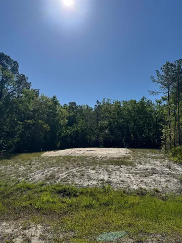 $25,000 | Xx Old Palmetto Path, Crawfordville, FL 32327