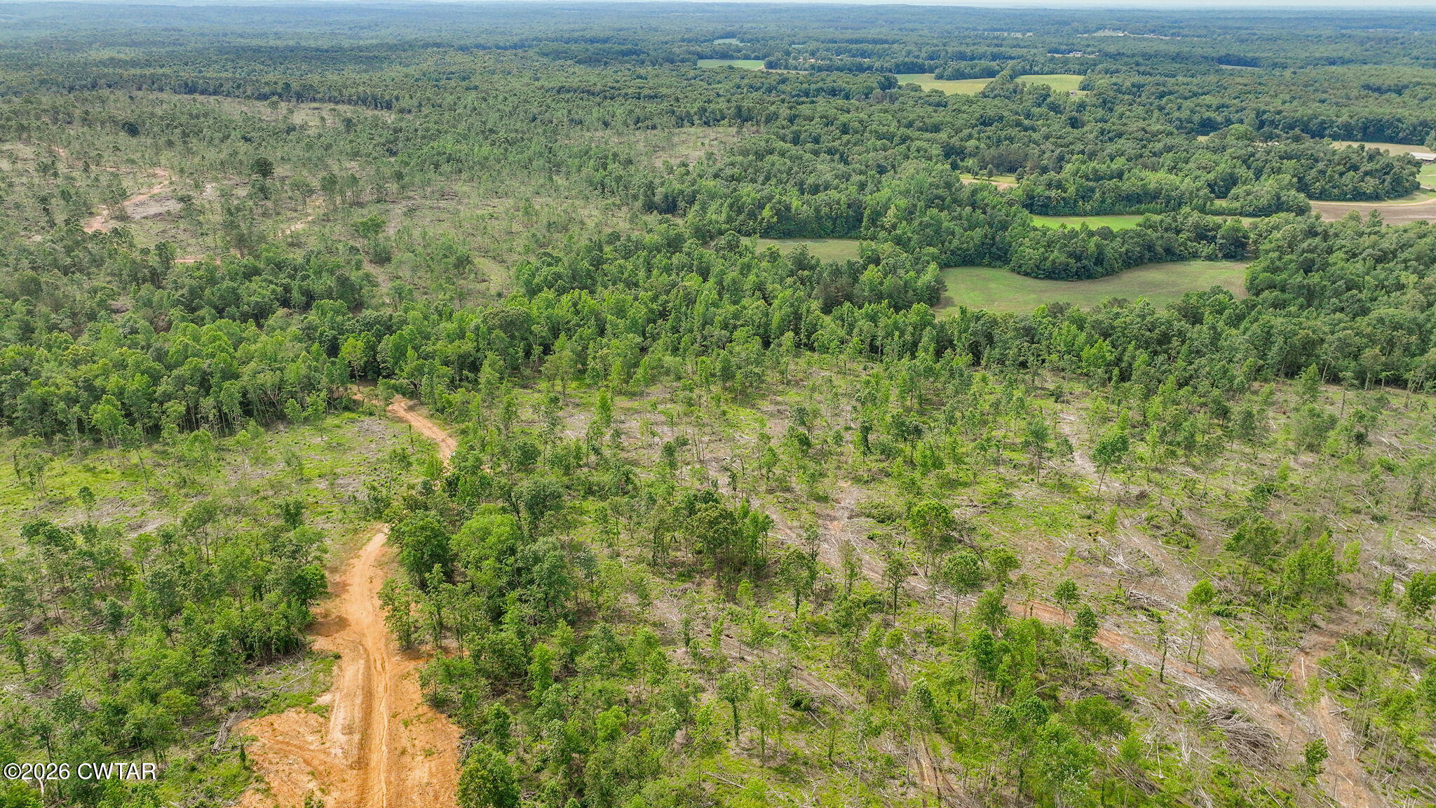 0 Wynn Road Big Sandy, TN 38221 - Photo 20 of 28 18-web-or-mls-DJI_0074