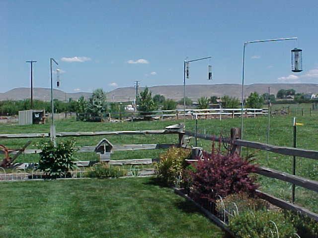 491 East Duffield Road Moxee, WA 98936 - Photo 3 of 9 a view of a golf course with a lake view