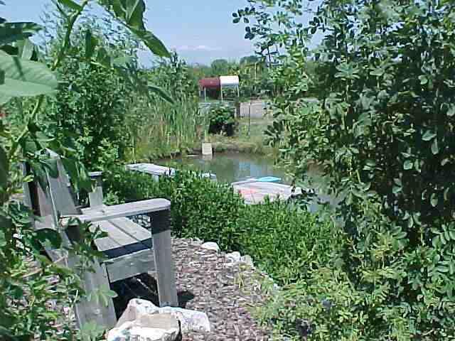 491 East Duffield Road Moxee, WA 98936 - Photo 7 of 9 a garden view with a seating space