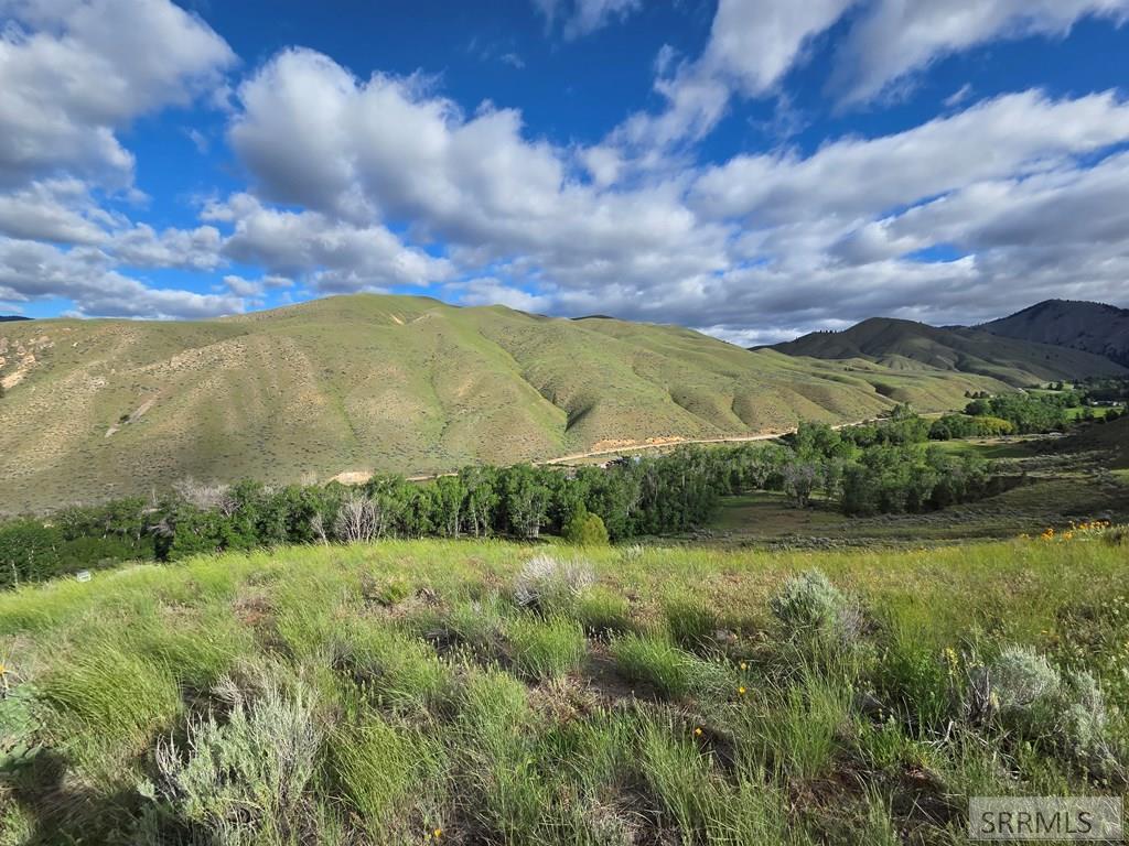 Nkn East Tower Creek Road Carmen, ID 83462 - Photo 17 of 63
