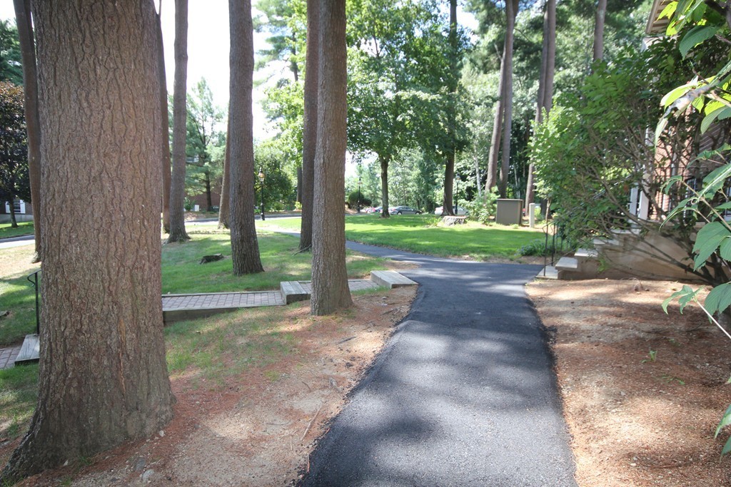 209 Great Road, Unit B5 Acton, MA 01720 - Photo 10 of 11 a view of a yard with plants and large trees