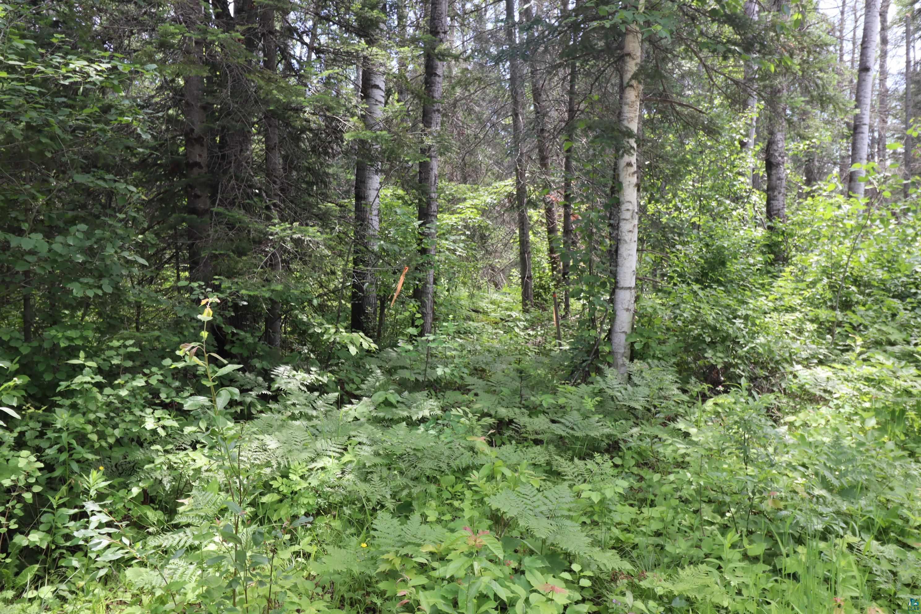 Lot 1 Campbell Road Herbster, WI 54844 - Photo 11 of 14