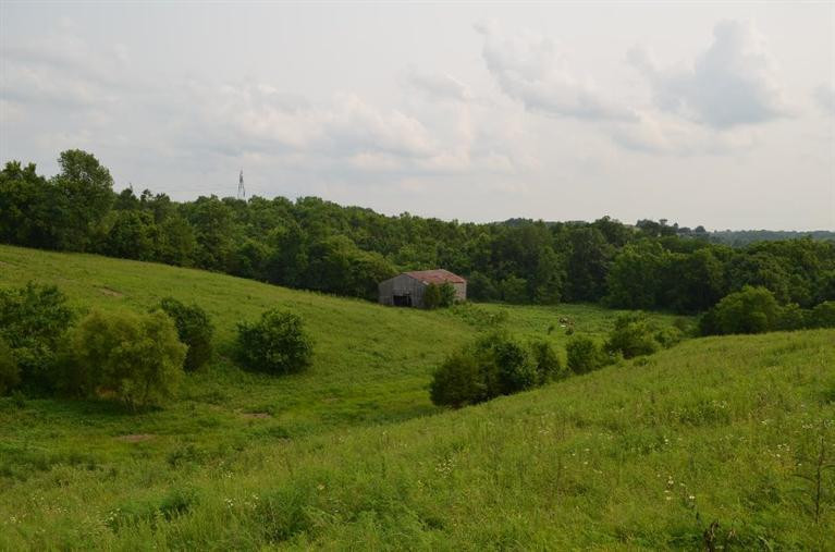 3162 Deep Creek Road Perryville, KY 40468 - Photo 6 of 21 Photo 6