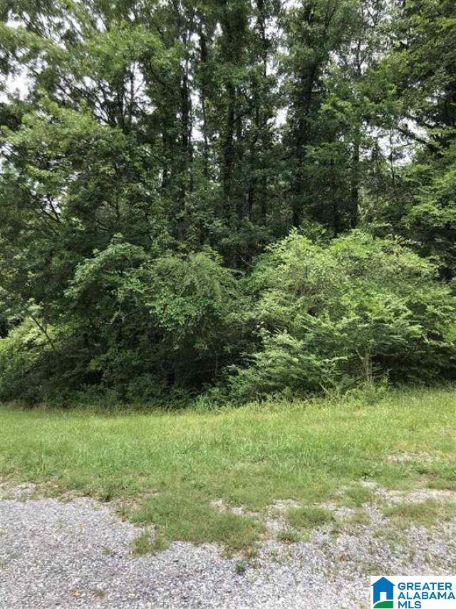 0 13th Street, Unit DUNSTANS Calera, AL 35040 - Photo 3 of 4