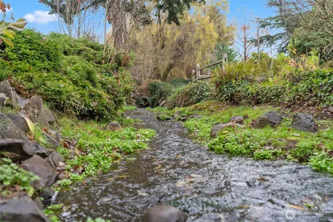 a view of a yard with plants and large trees