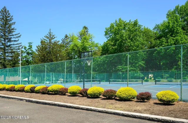 a view of a park with large trees and wooden fence