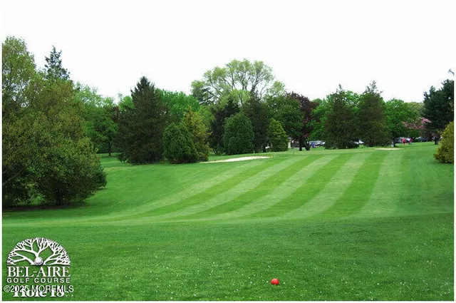 a view of a grassy field with trees