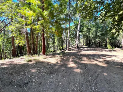 a view of dirt yard with a trees