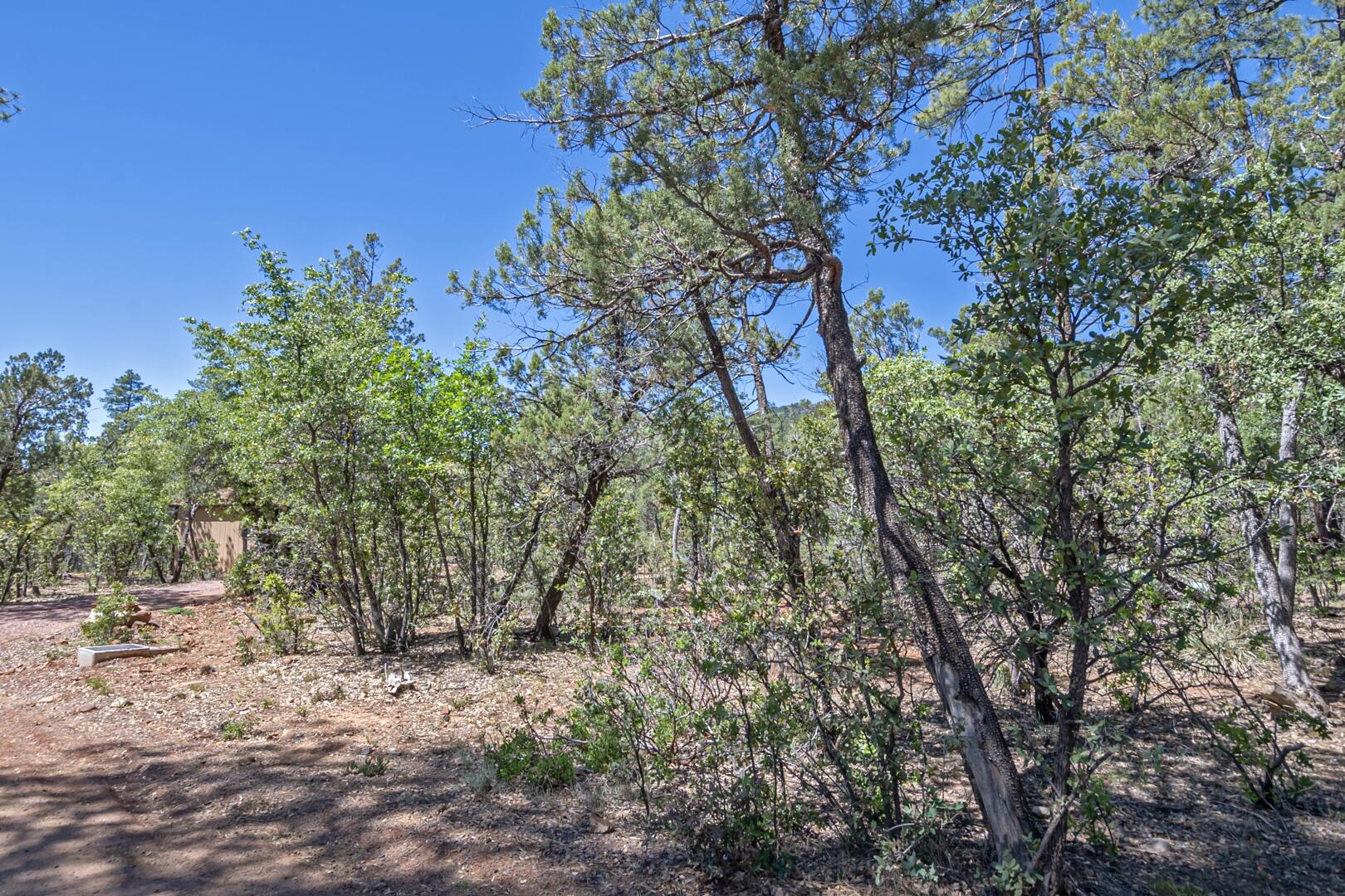 470 Pine Rd Pine Payson, AZ 85541 - Photo 8 of 17
