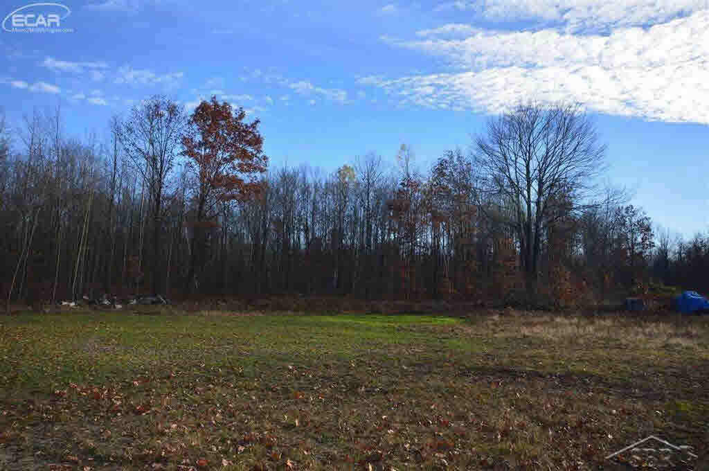 0 O Obrien Road Vassar, MI 48768 - Photo 4 of 6