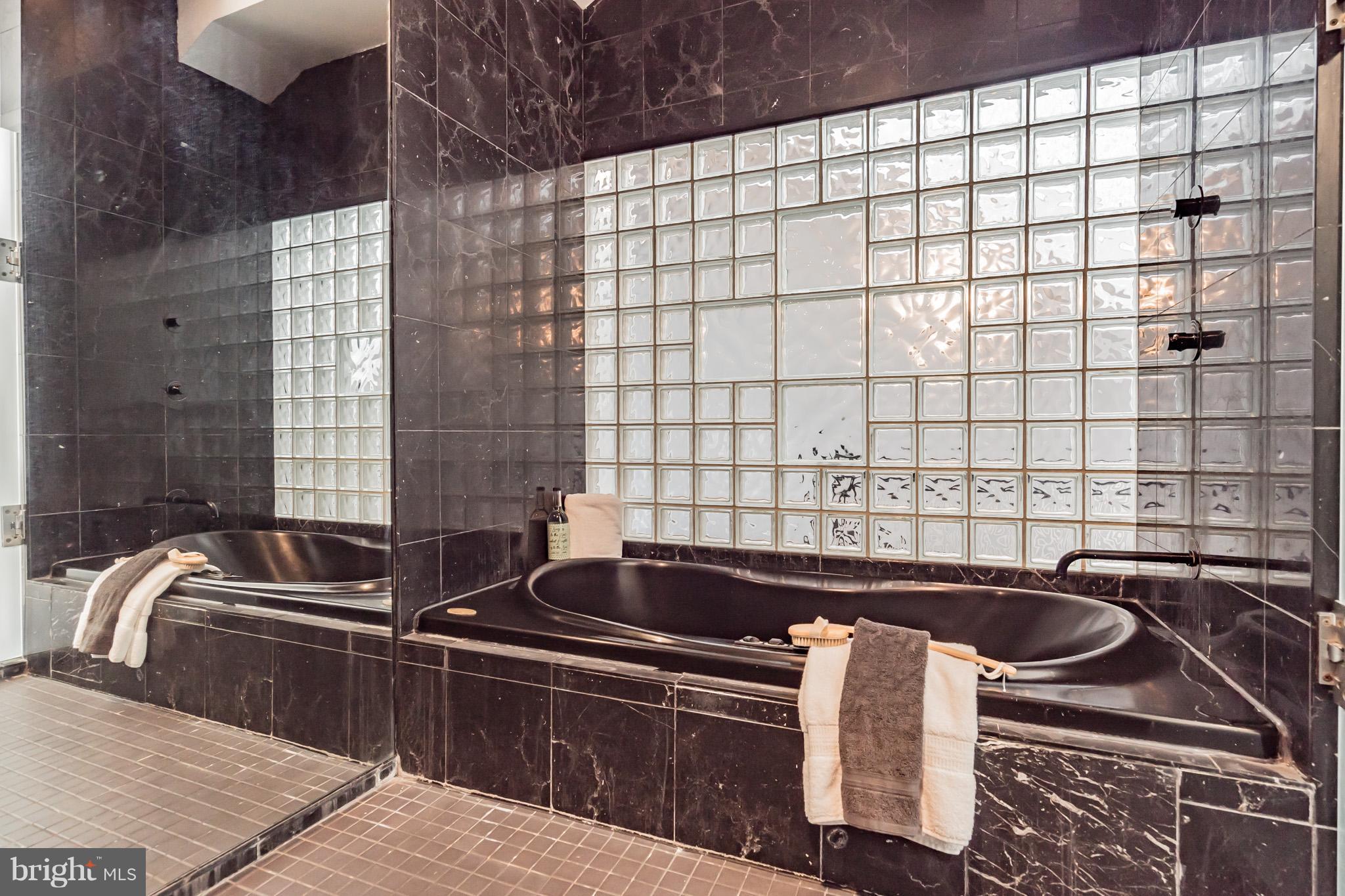 2302 17th Street Northwest Washington, DC 20009 - Photo 8 of 28 Large Master Bathroom w/ Jetted Tub