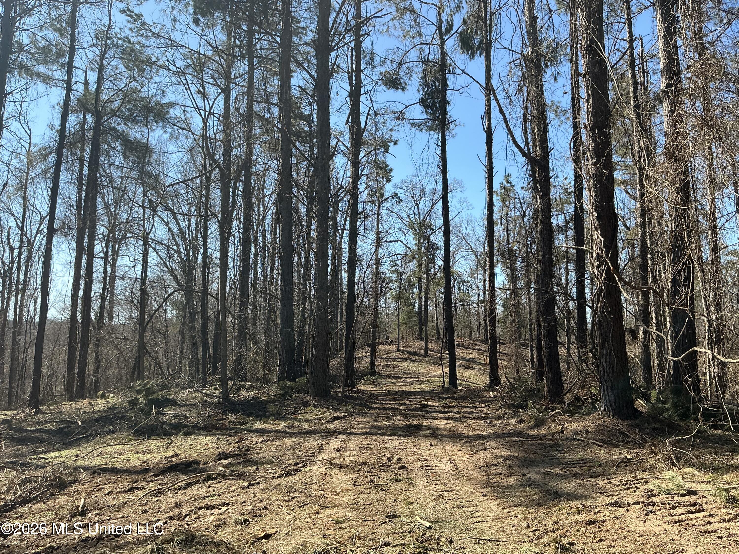 Norwood Road Carrollton, MS 38917 - Photo 20 of 28 IMG_0663