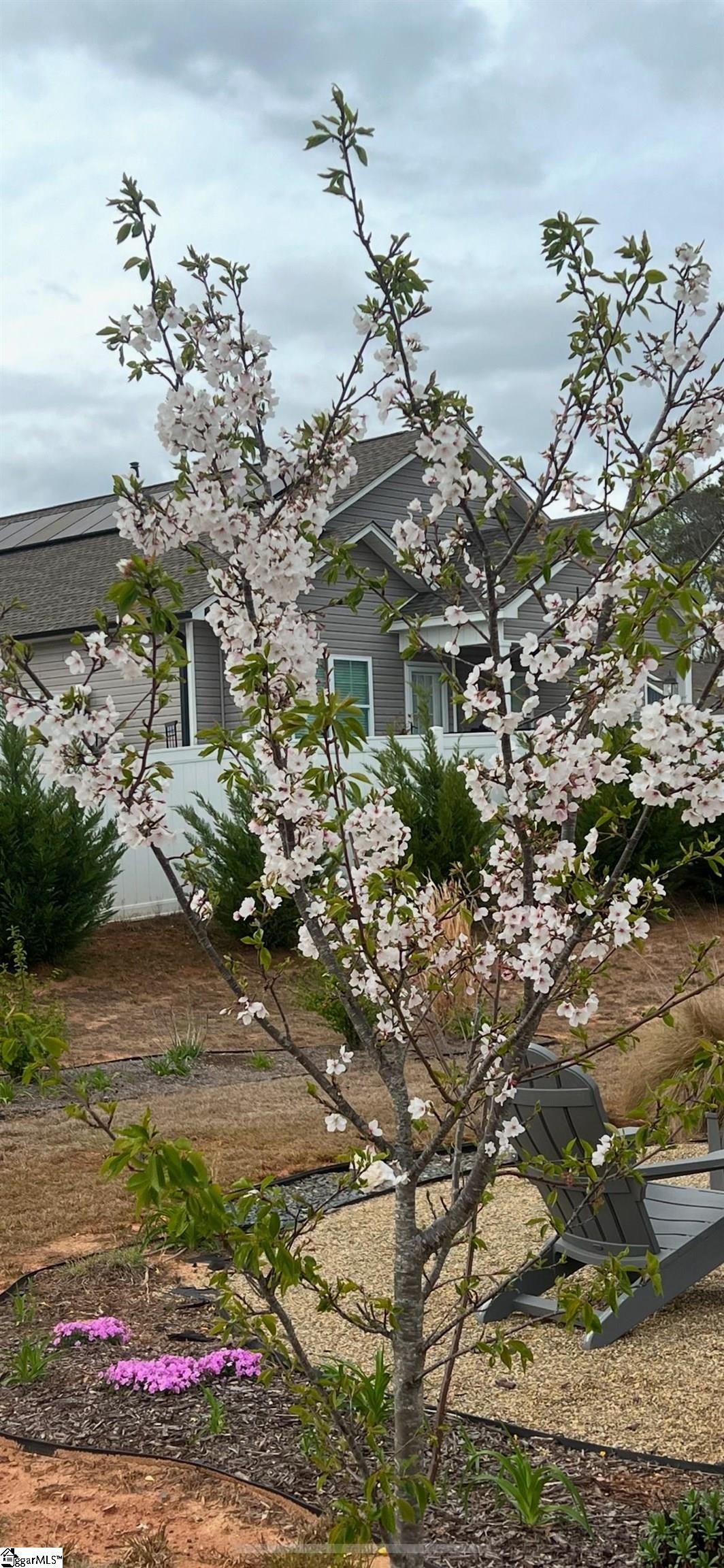 402 Letter Lane Pendleton, SC 29670 - Photo 41 of 41
