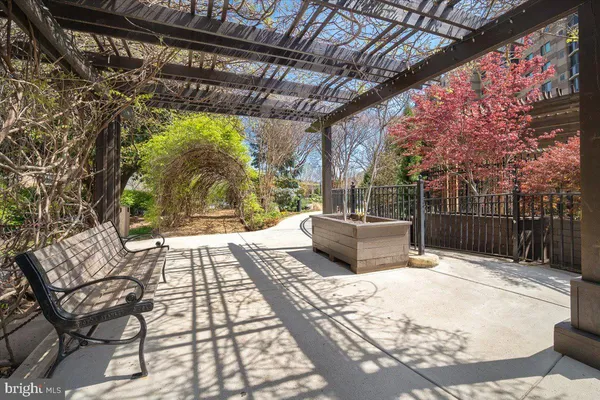 a view of a pathway both side of flower