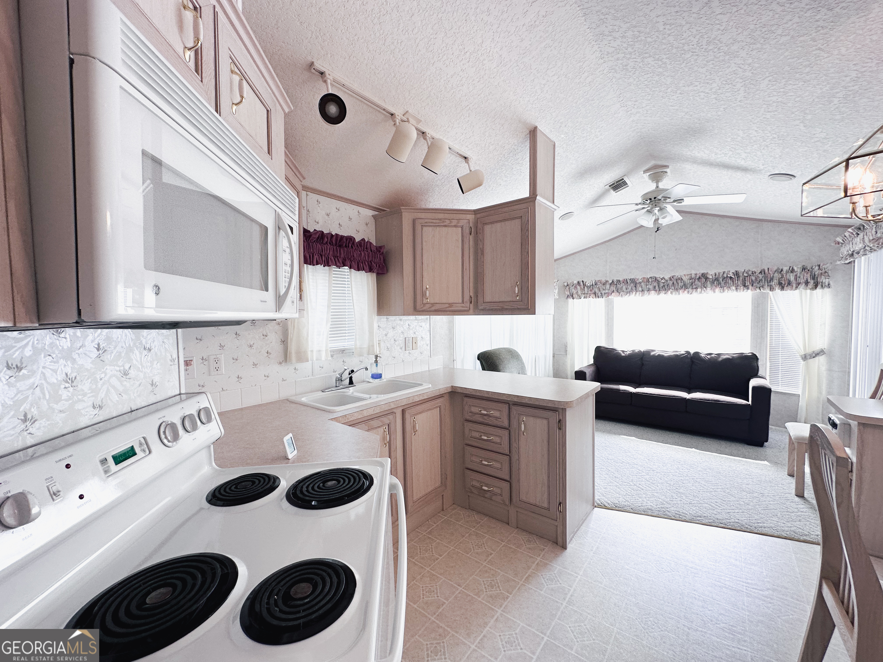 68 Nomad Trail Cleveland, GA 30528 - Photo 10 of 20 a kitchen with a sink a stove a microwave and cabinets