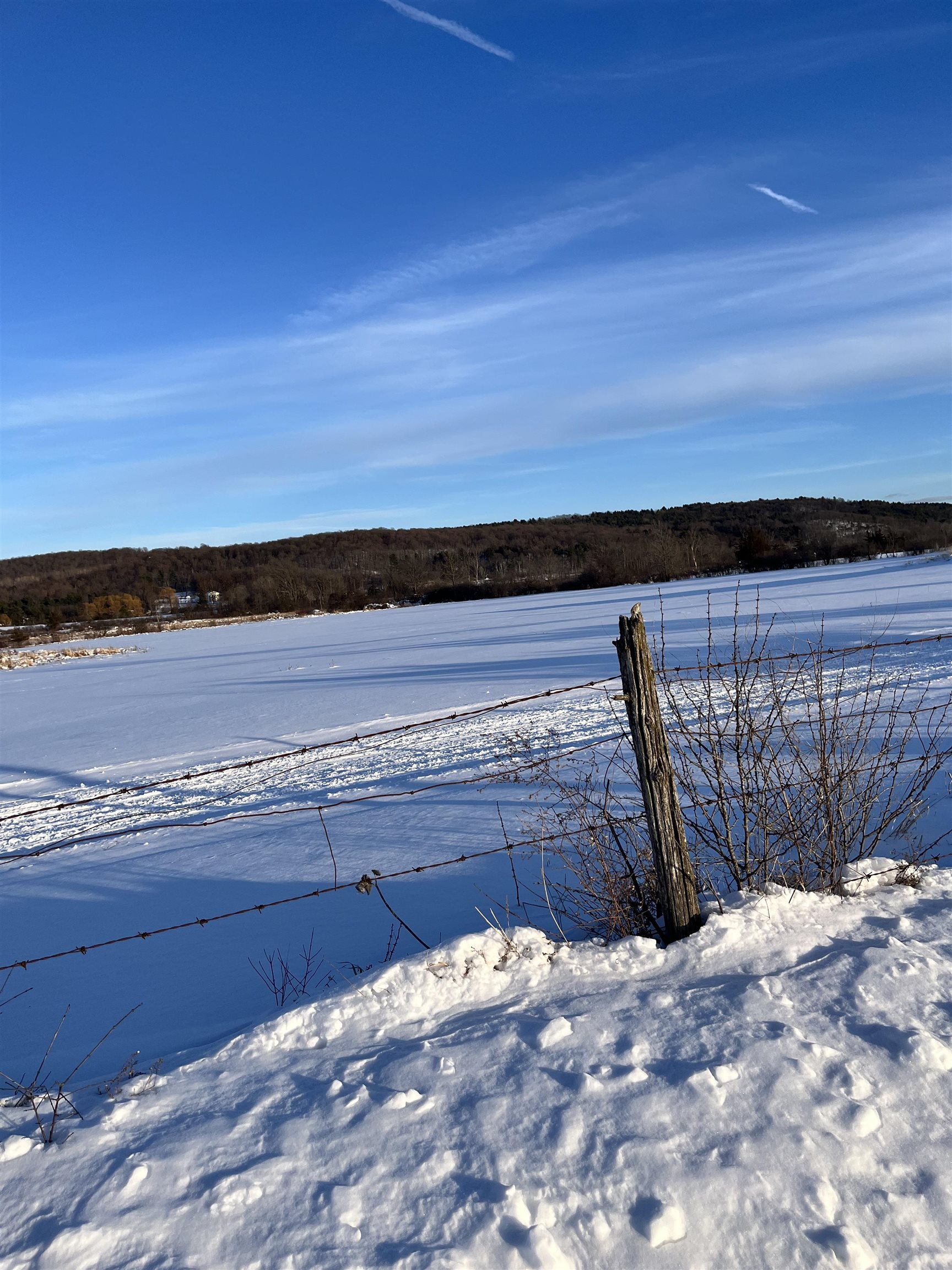 0 Old Stage Road Orwell, VT 05760 - Photo 9 of 10