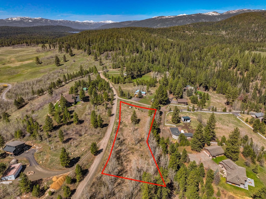 Tbd Morell Road McCall, ID 83638 - Photo 20 of 22