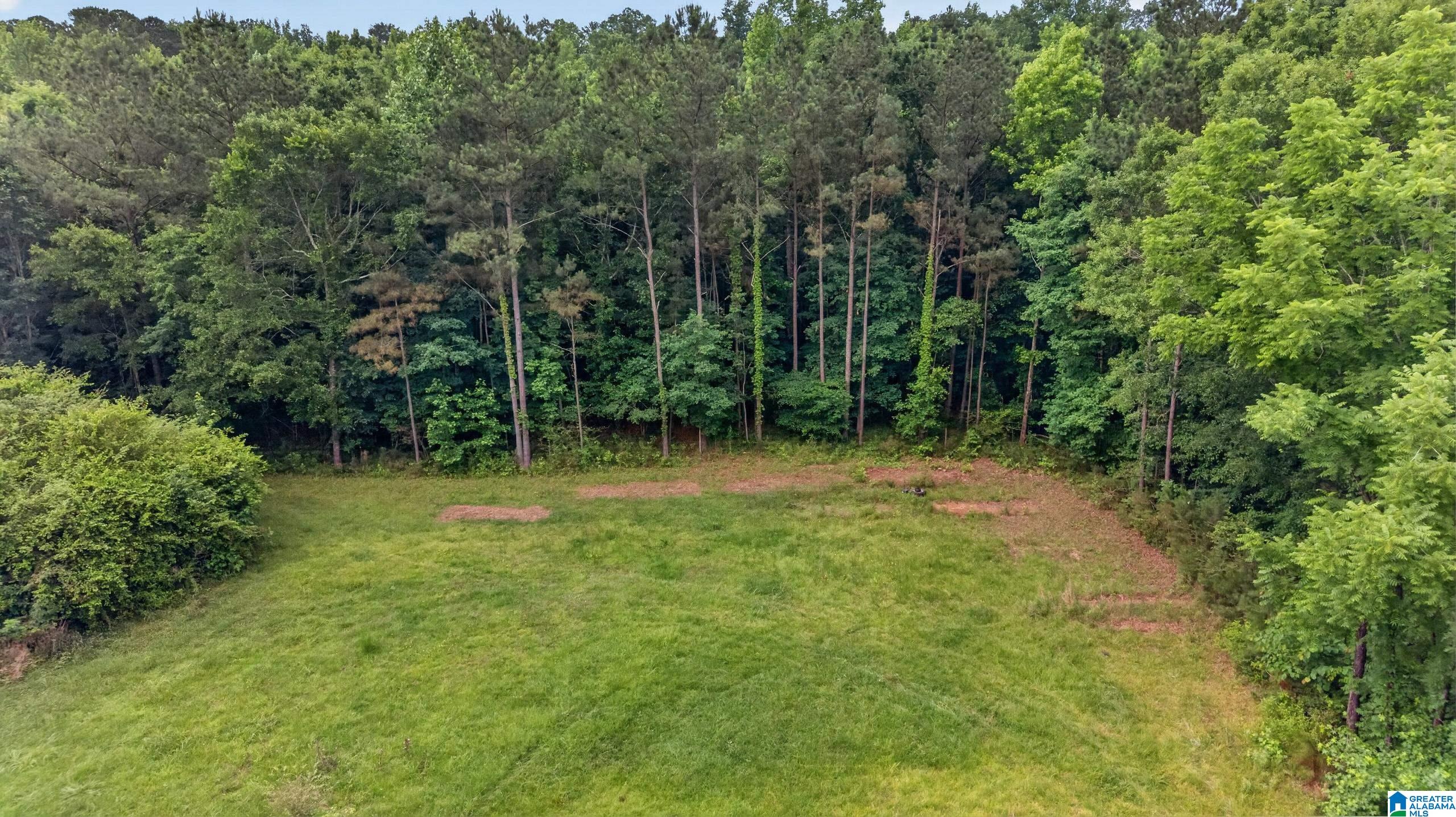 930 Anniston Beach Road Anniston, AL 36206 - Photo 4 of 23