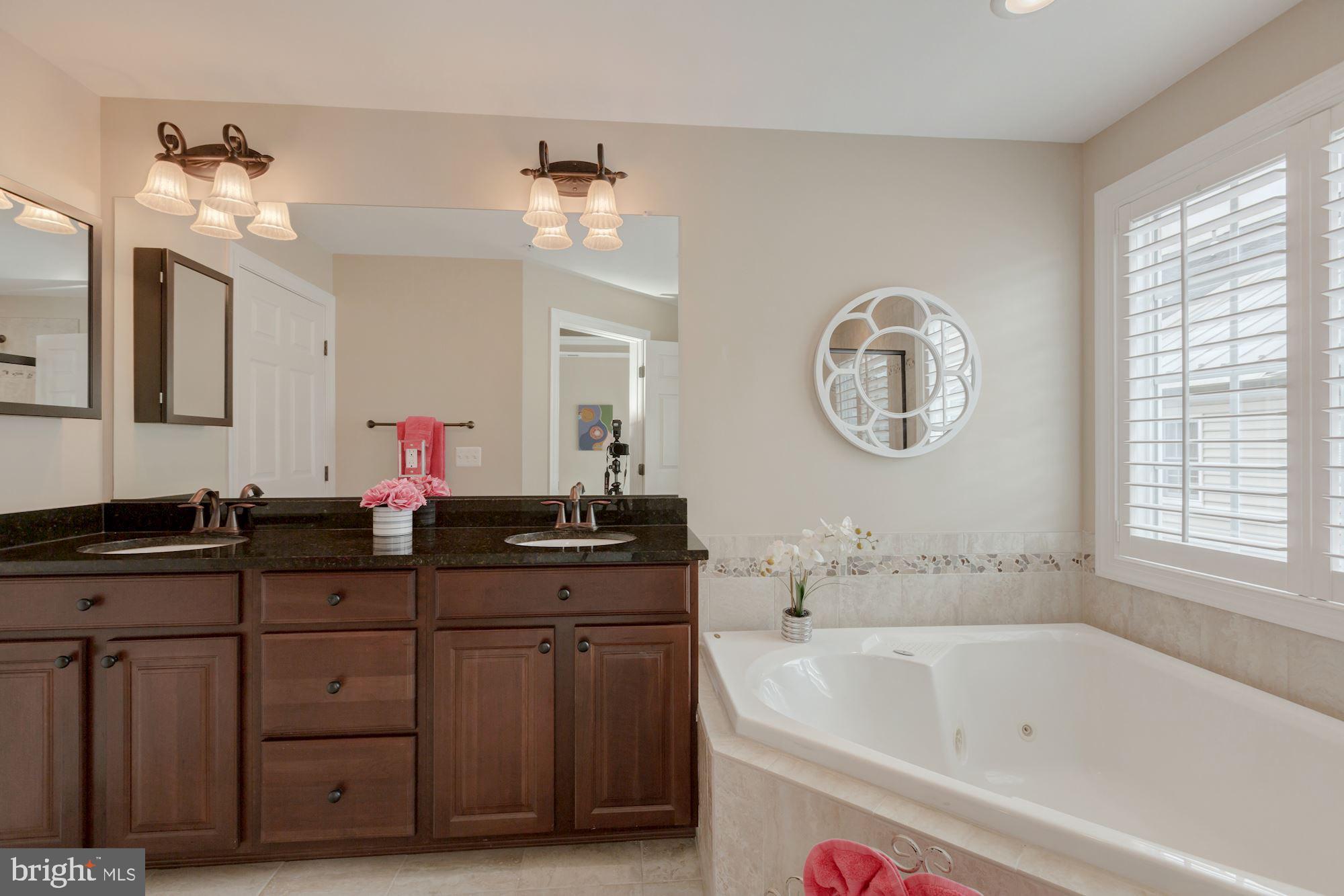 5146 Brawner Place Alexandria, VA 22304 - Photo 15 of 32 a bathroom with a tub a double vanity sink and a mirror