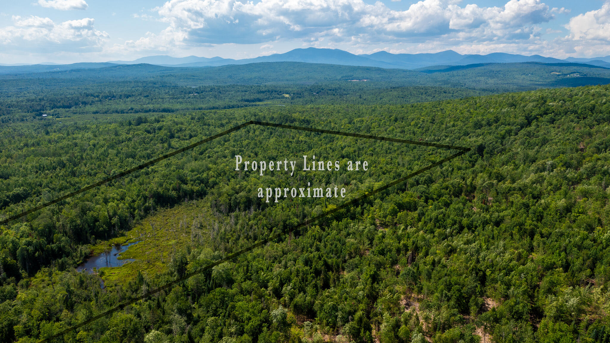 0 Miller Road New Vineyard, ME 04956 - Photo 1 of 48 MNewportland-5