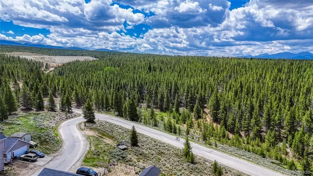 a view of a yard with plants