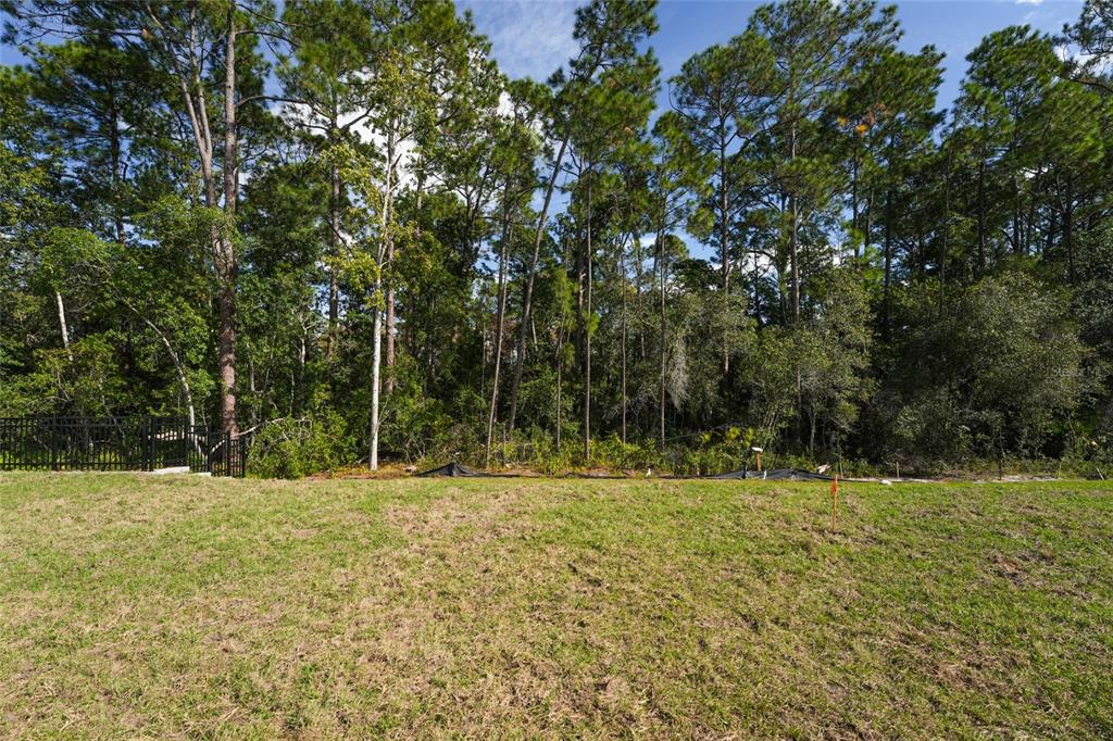2770 Raindrop Run Street Clermont, FL 34714 - Photo 20 of 28 a backyard of a house with lots of trees