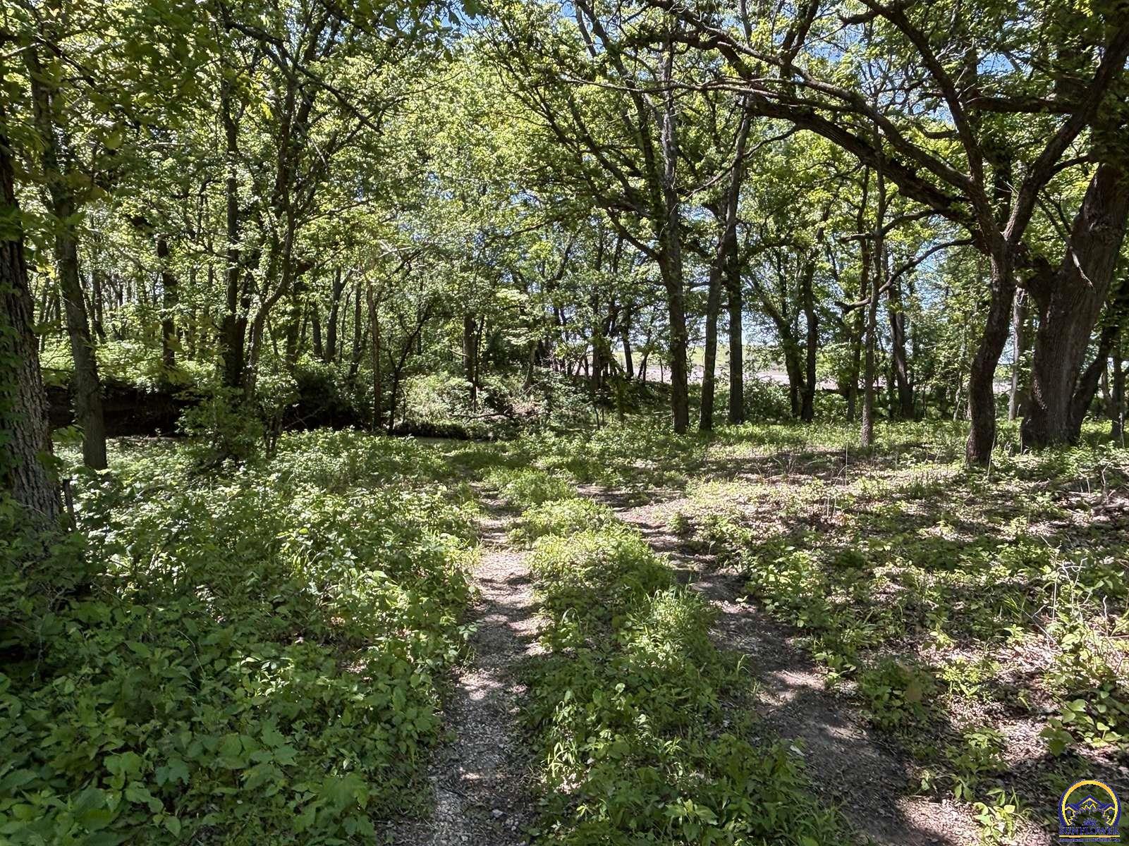 0 Silver Creek Road Cedar Point, KS 66843 - Photo 40 of 99 Gallery Image 40