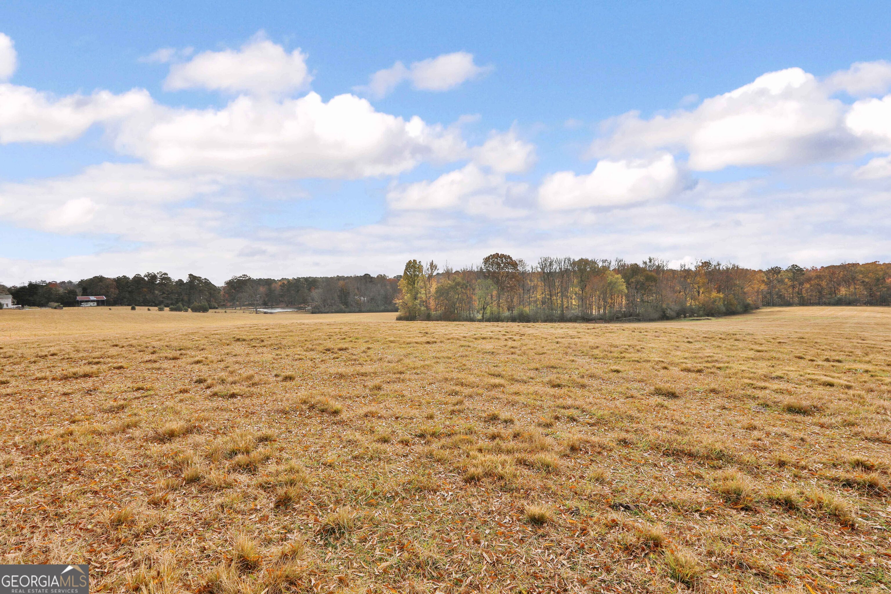 Lot 7 Mask Road Brooks, GA 30205 - Photo 6 of 24