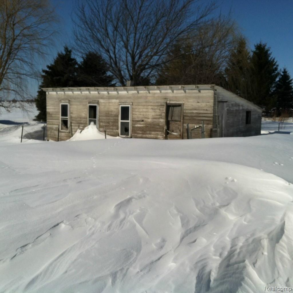 3700 Minden Road Ruth, MI 48470 - Photo 38 of 42 Rear Yard - Chicken Coop.jpg
