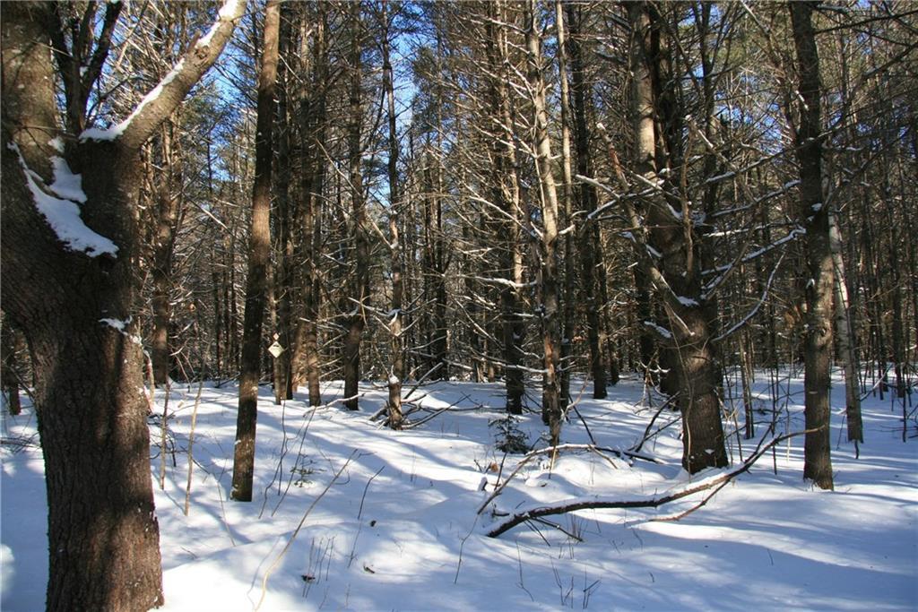 50 Avenue Road Garland, ME 04939 - Photo 16 of 22 Photo