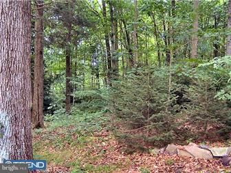 383 Ridge Road New Ringgold, PA 17960 - Photo 10 of 12 Gallery Image 10
