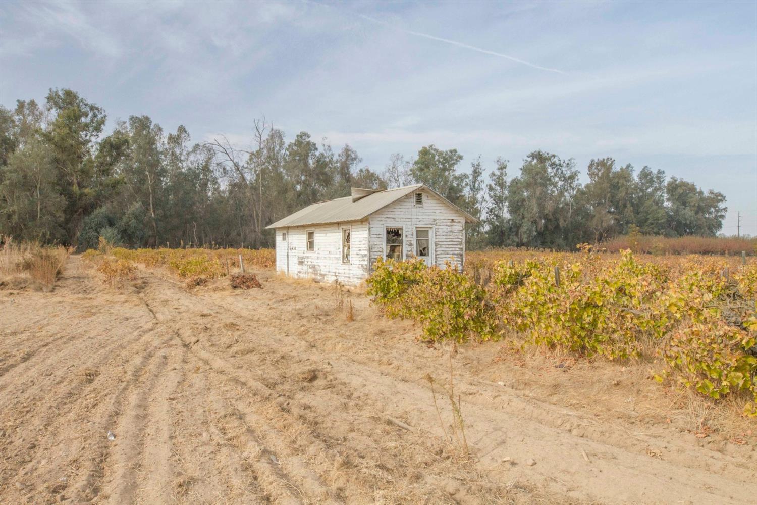 42871 Road 72 Reedley, CA 93654 - Photo 22 of 49