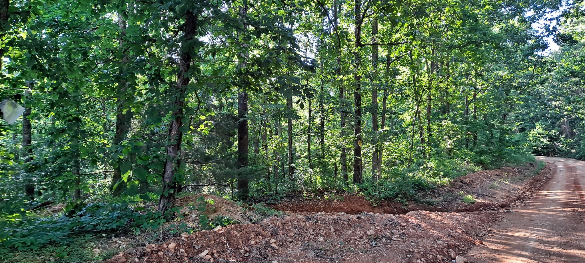 0 Ed Lyell Road Bon Aqua, TN 37025 - Photo 13 of 21