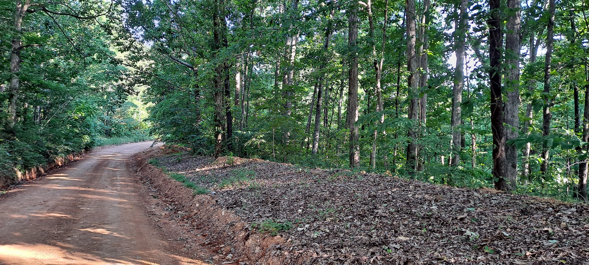0 Ed Lyell Road Bon Aqua, TN 37025 - Photo 14 of 21
