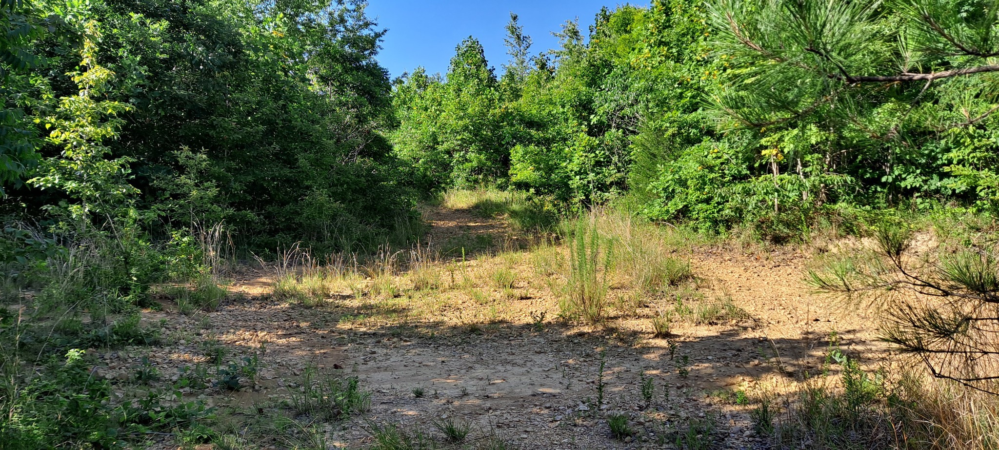 0 Ed Lyell Road Bon Aqua, TN 37025 - Photo 16 of 21