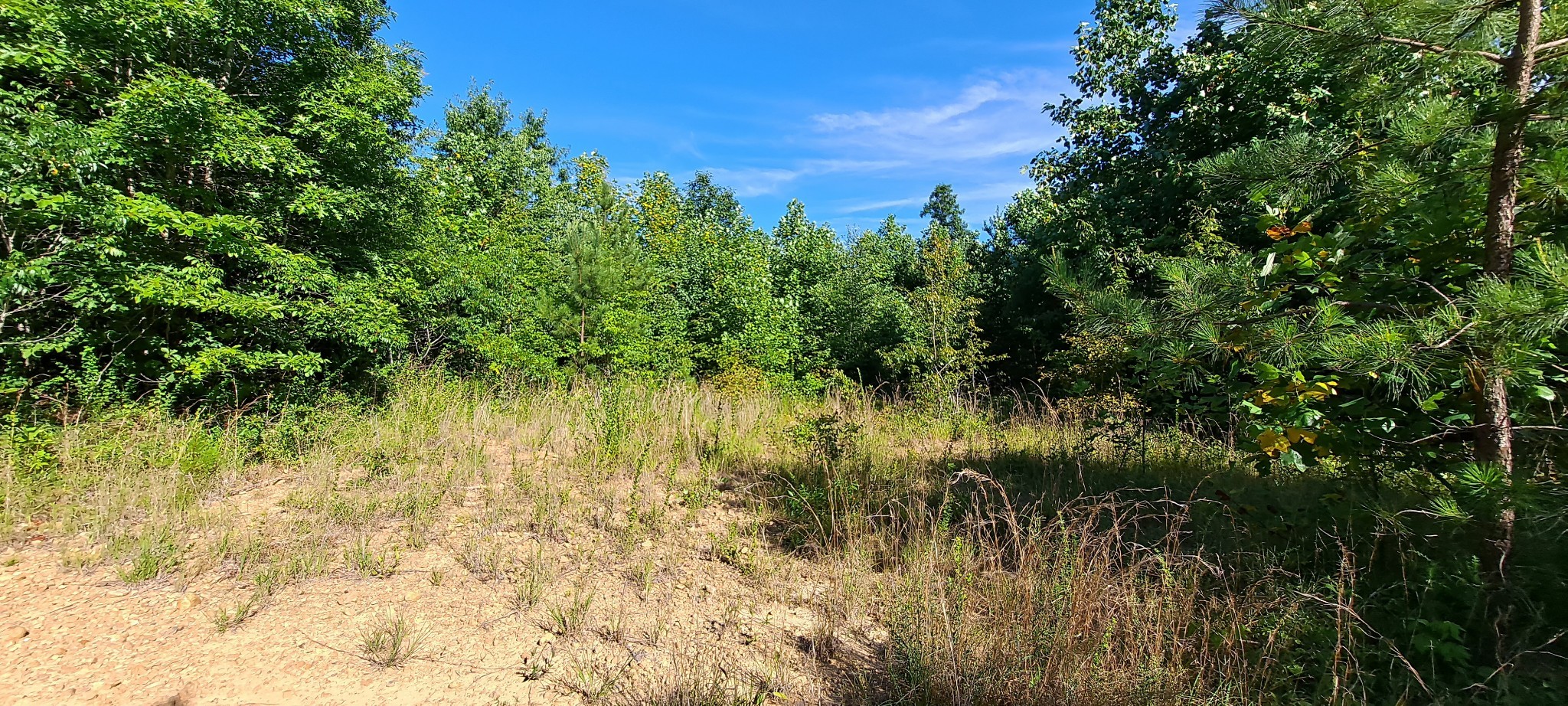 0 Ed Lyell Road Bon Aqua, TN 37025 - Photo 8 of 21