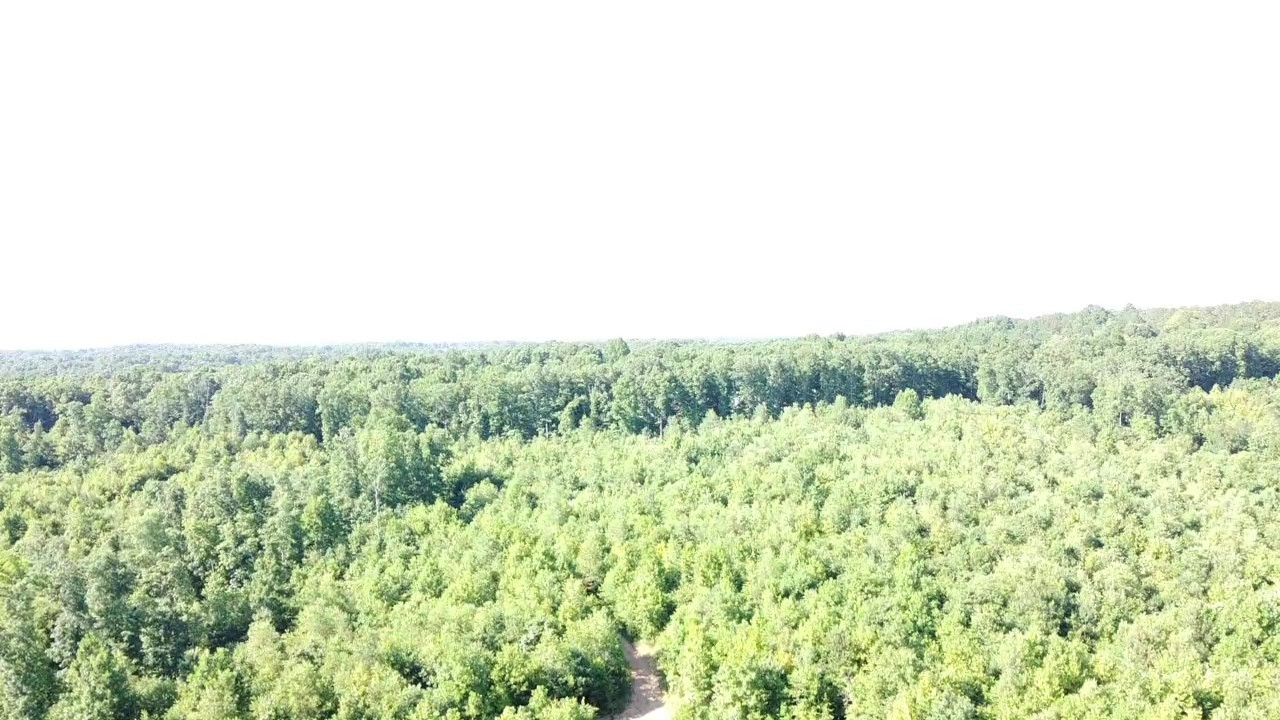 0 Ed Lyell Road Bon Aqua, TN 37025 - Photo 9 of 21
