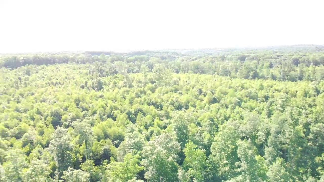 0 Ed Lyell Road Bon Aqua, TN 37025 - Photo 10 of 21