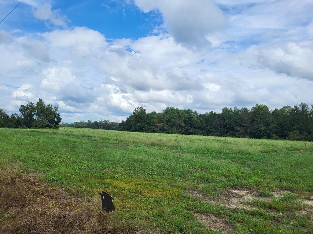 Lot 2 Enterprise Church Road Ashford, AL 36312 - Photo 7 of 8