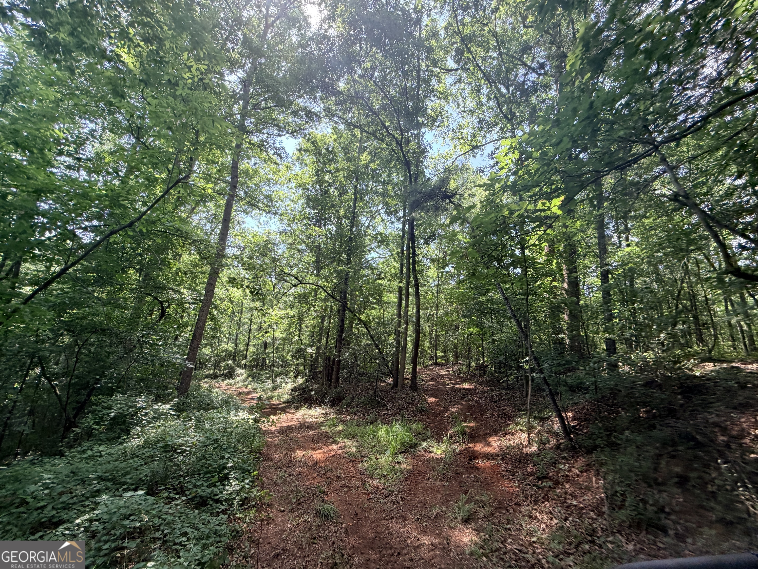 1590 James Adams Road Danielsville, GA 30633 - Photo 43 of 98